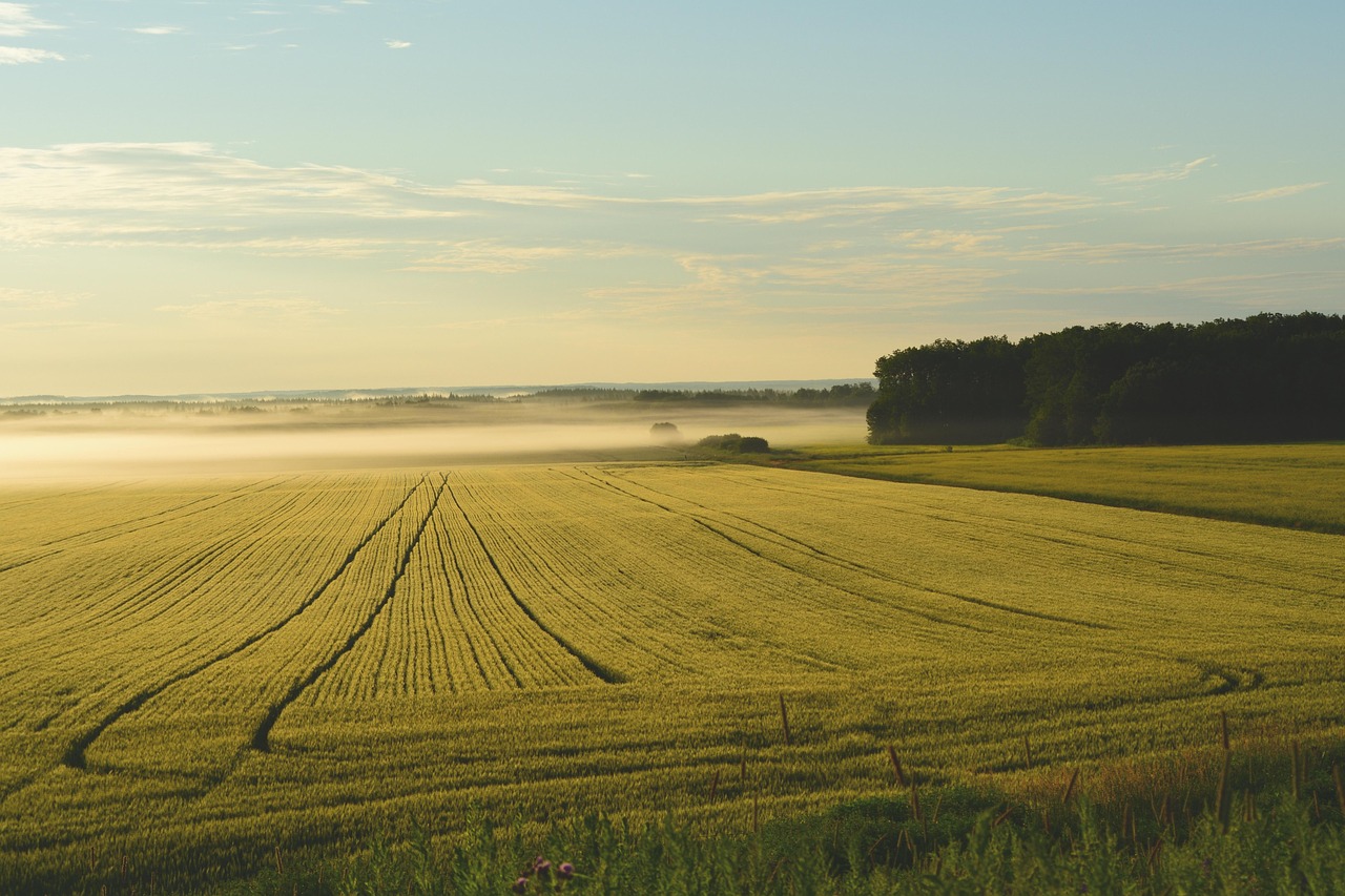 Agricultural Land